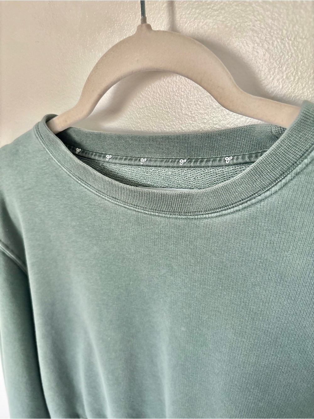 Aritzia/TNA Washed Sage Cropped Terry Fleece Crew Neck